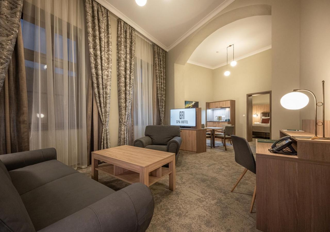Efi Spa Hotel Superior & Pivovar برنو المظهر الخارجي الصورة