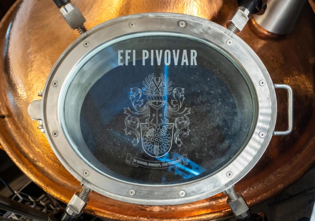 Efi Spa Hotel Superior & Pivovar برنو المظهر الخارجي الصورة